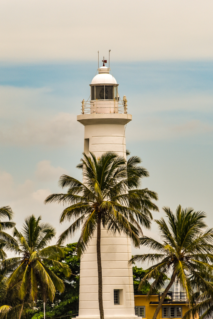 Gardenia Tours