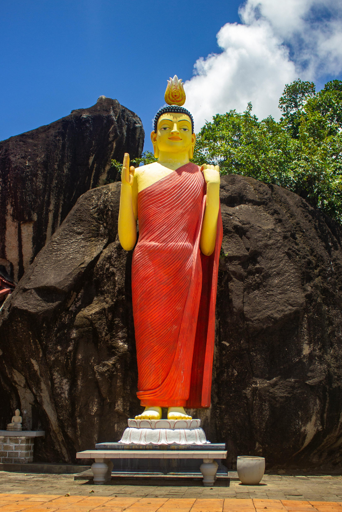Gardenia Tours