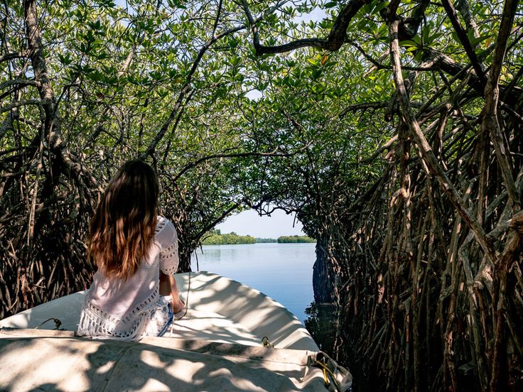 Madu River Boat Safari Sri Lanka