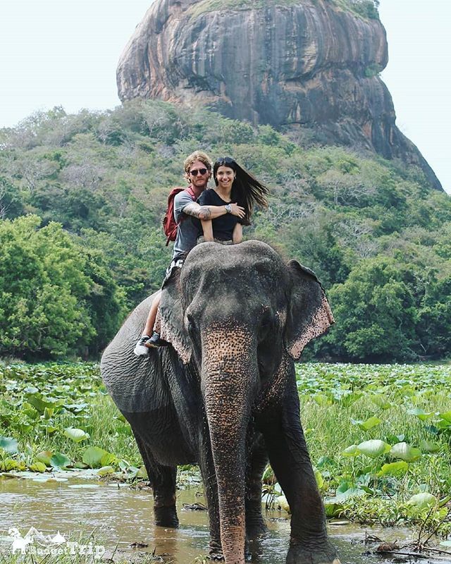 Sigiriya Elephant Ride
